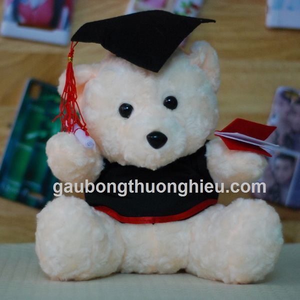 Gấu bông tốt nghiệp Hà Nội