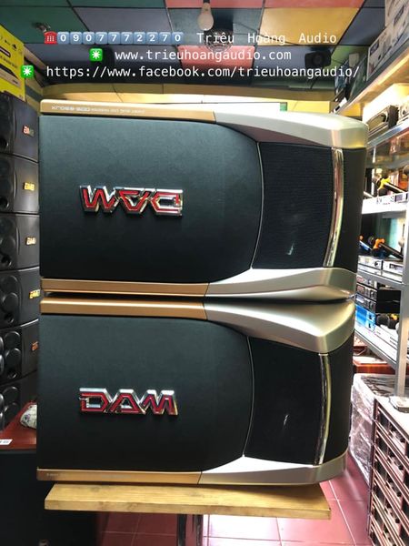 Loa DAM Japan 890JX - 6