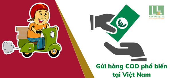 Hình ảnh bài viết