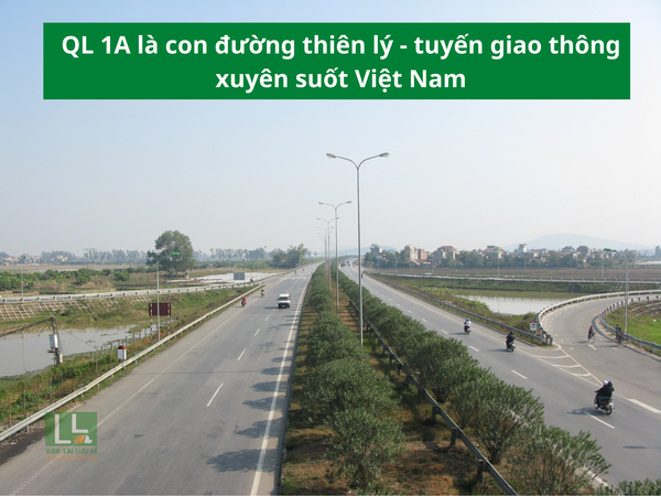 Hình ảnh bài viết