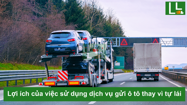 Hình ảnh bài viết