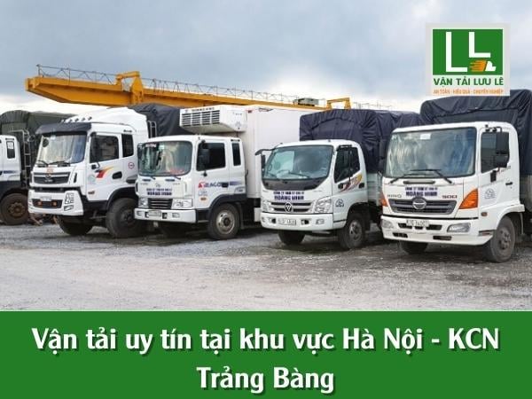 Hình ảnh bài viết