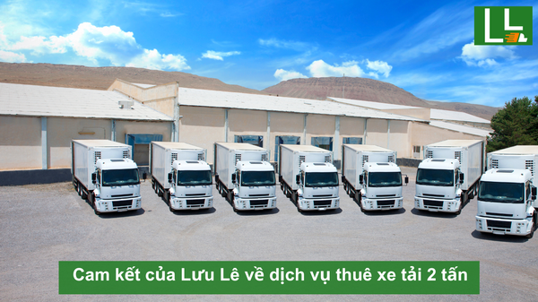 Hình ảnh bài viết