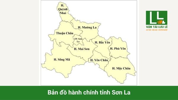 Hình ảnh bài viết