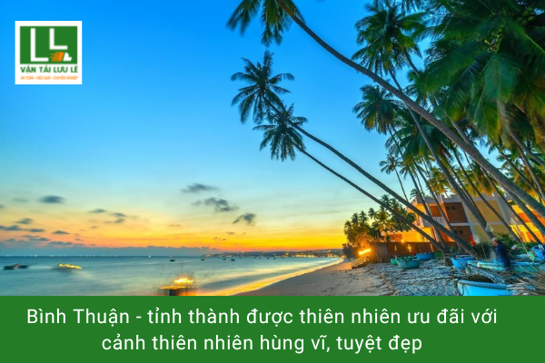 Hình ảnh bài viết