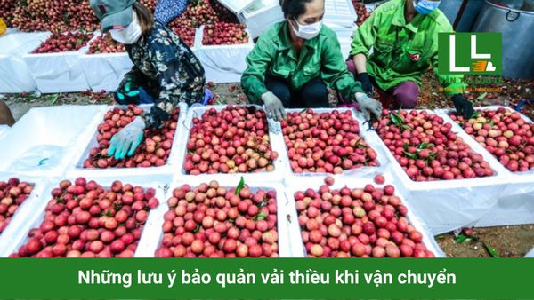 Hình ảnh bài viết