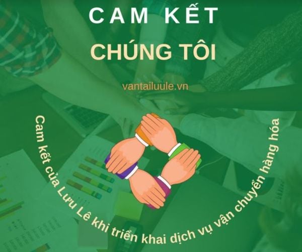 Hình ảnh bài viết