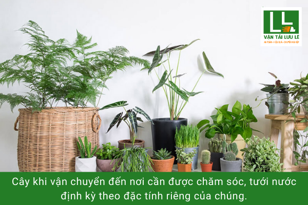 Hình ảnh bài viết