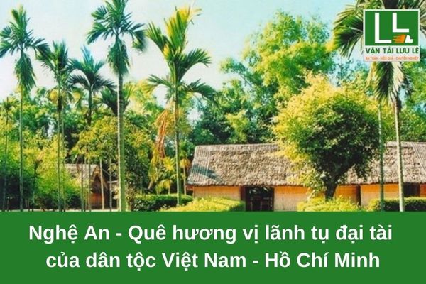 Hình ảnh bài viết