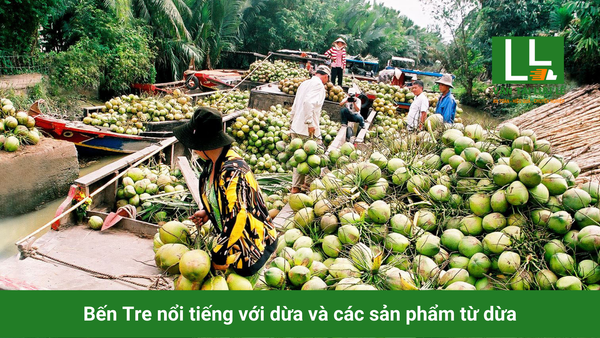 Hình ảnh bài viết