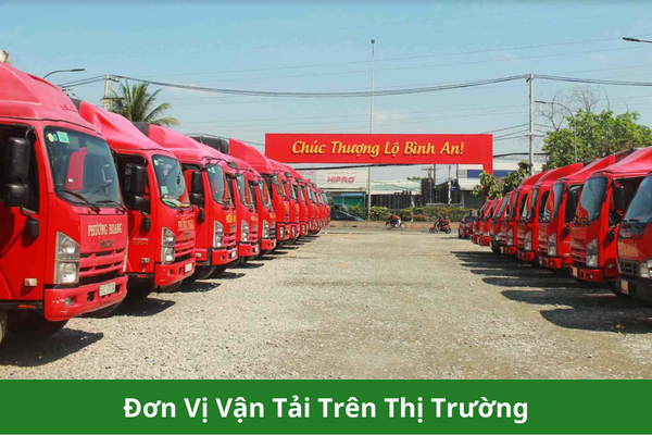 Hình ảnh bài viết