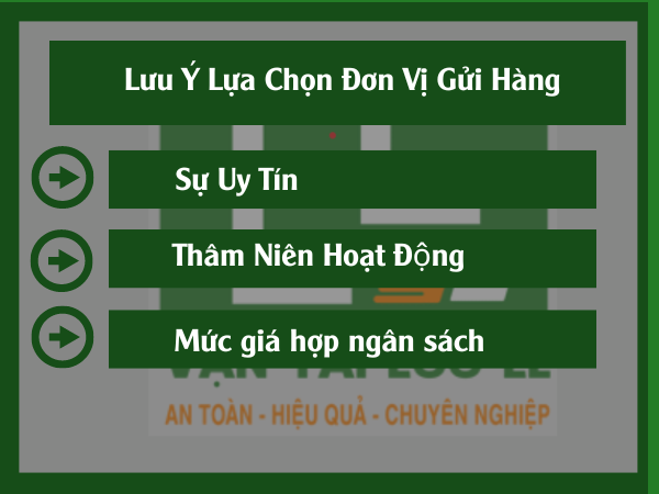 Hình ảnh bài viết