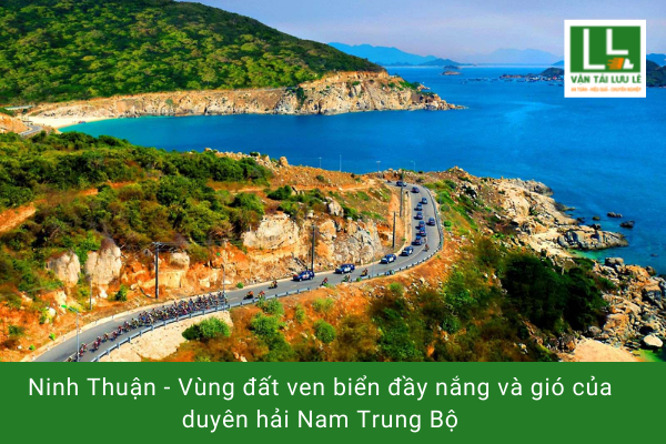 Hình ảnh bài viết