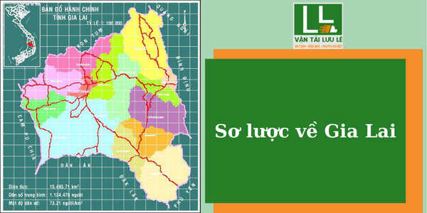 Hình ảnh bài viết