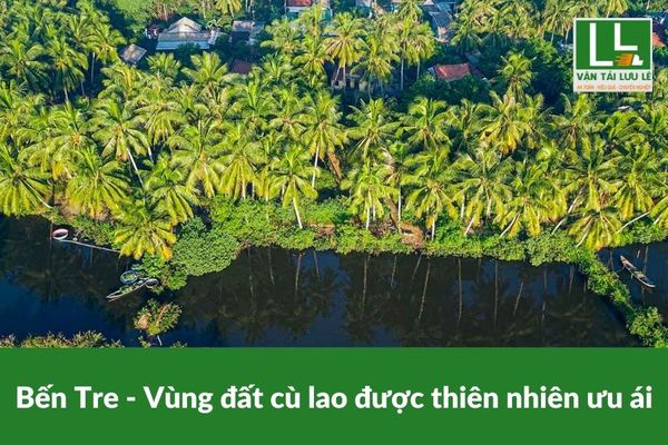 Hình ảnh bài viết