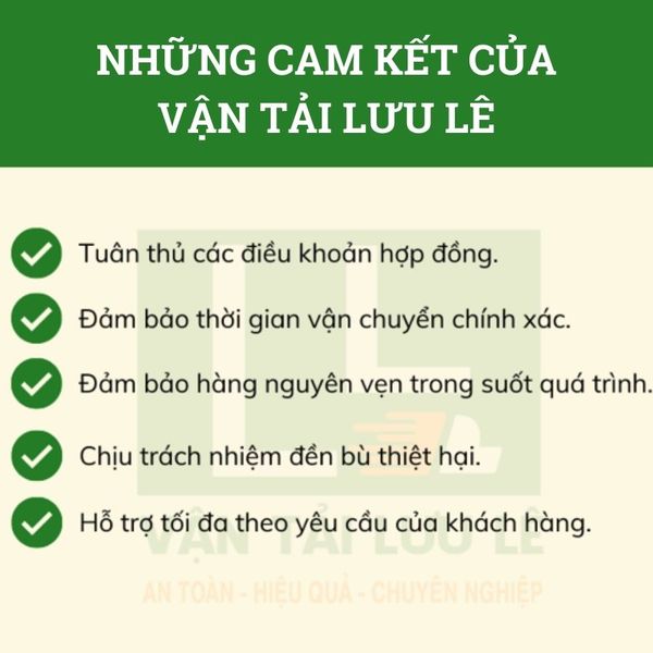 Hình ảnh bài viết