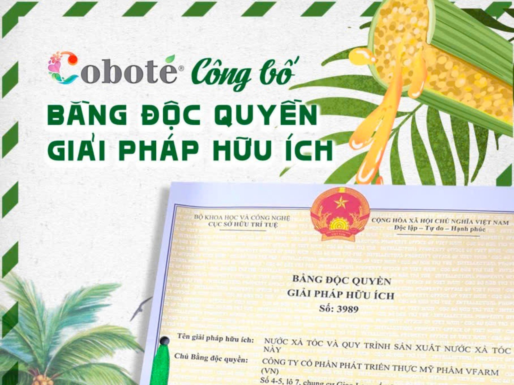 Bằng Độc Quyền Giải Pháp Hữu Ích - Nước Xả Tóc Và Quy Trình Sản Xuất Nước Xả Tóc