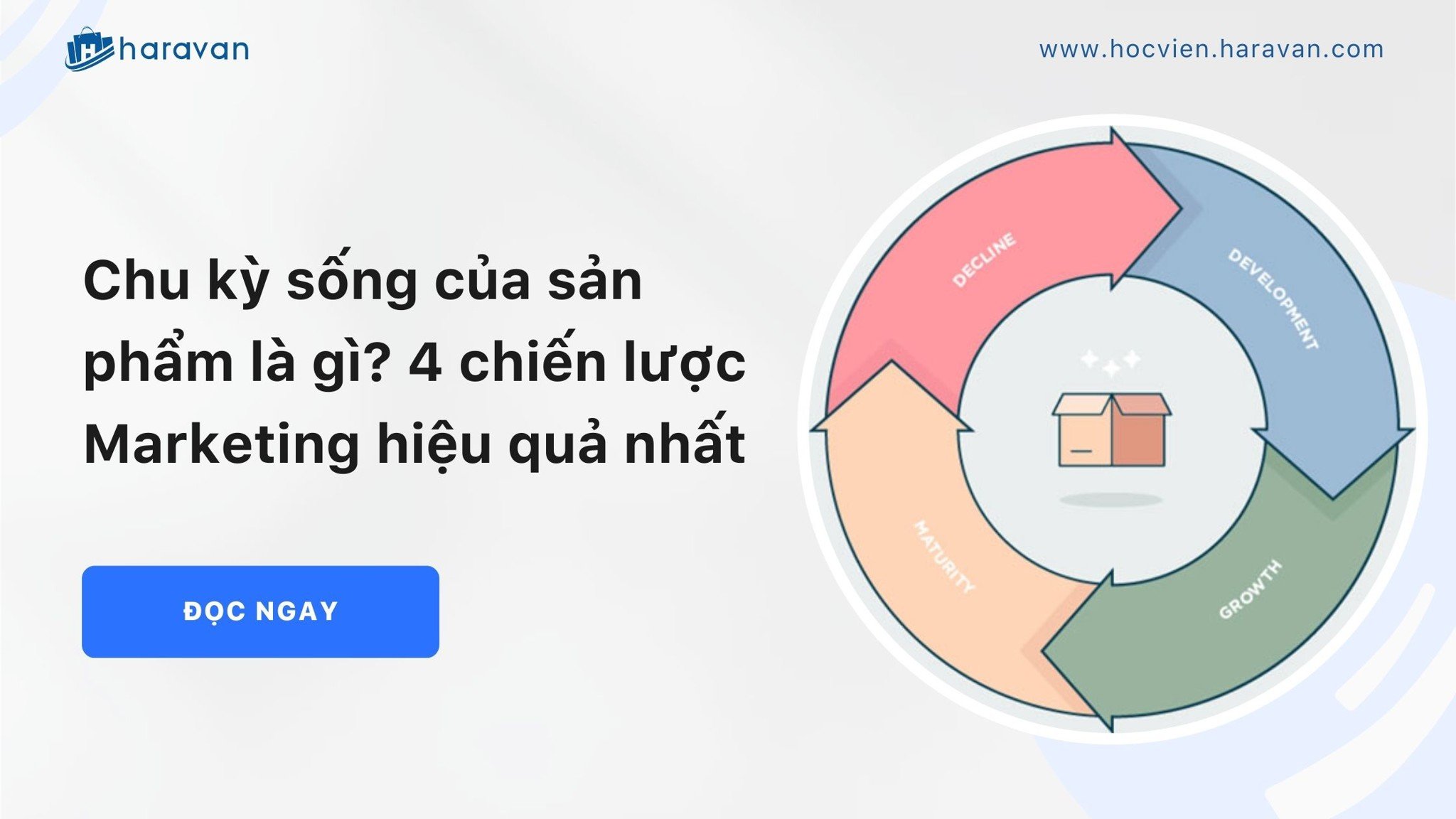 Chu kỳ sống của sản phẩm là gì? Cách áp dụng trong Marketing