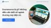Ecommerce là gì? Những điều cần biết về ngành thương mại điện tử