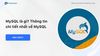 MySQL là gì? Thông tin chi tiết nhất về MySQL