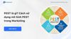 PEST là gì? Cách sử dụng mô hình PEST trong Marketing