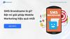 SMS Brandname là gì? Bật mí giải pháp Mobile Marketing hiệu quả nhất