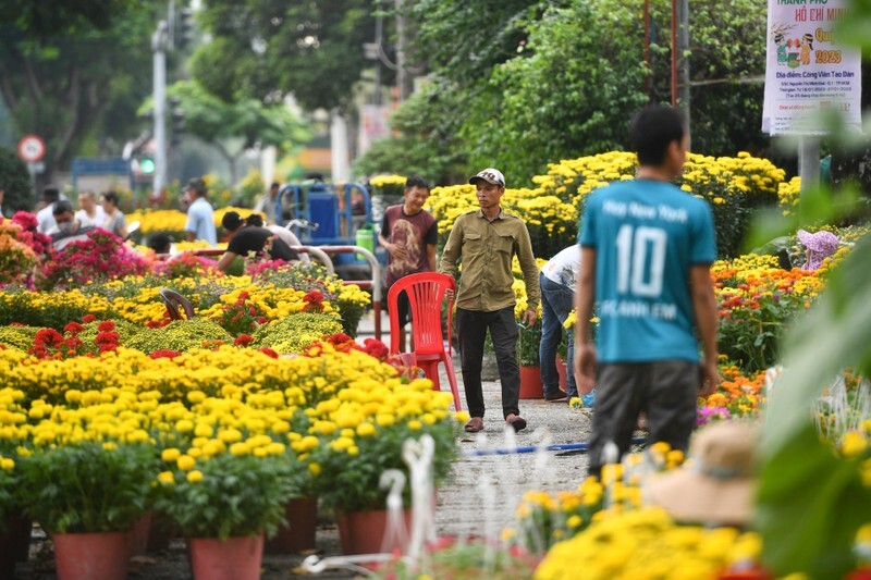 Những chậu cây cảnh hay những bình hoa tươi dùng để trang trí và thờ cúng những ngày Tết là không thể thiếu