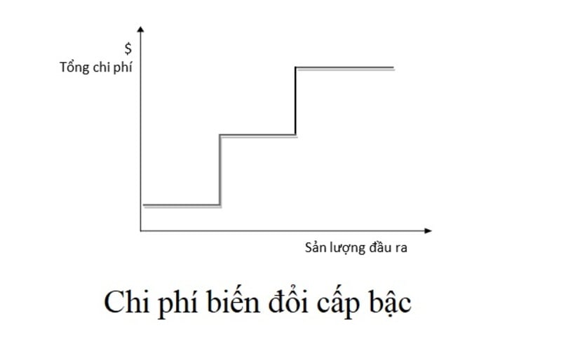 chi-phi-bien-doi