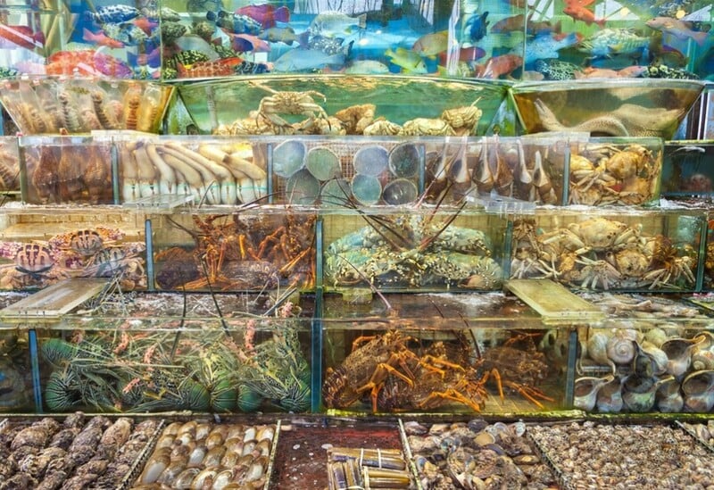 Ghé thăm chợ hải sản tươi ngon quy mô nhất Hàn Quốc