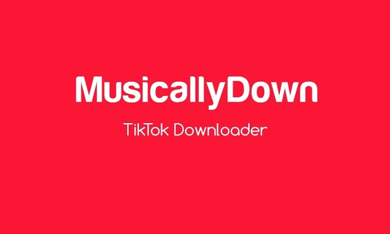 Lưu video Tiktok không có logo
