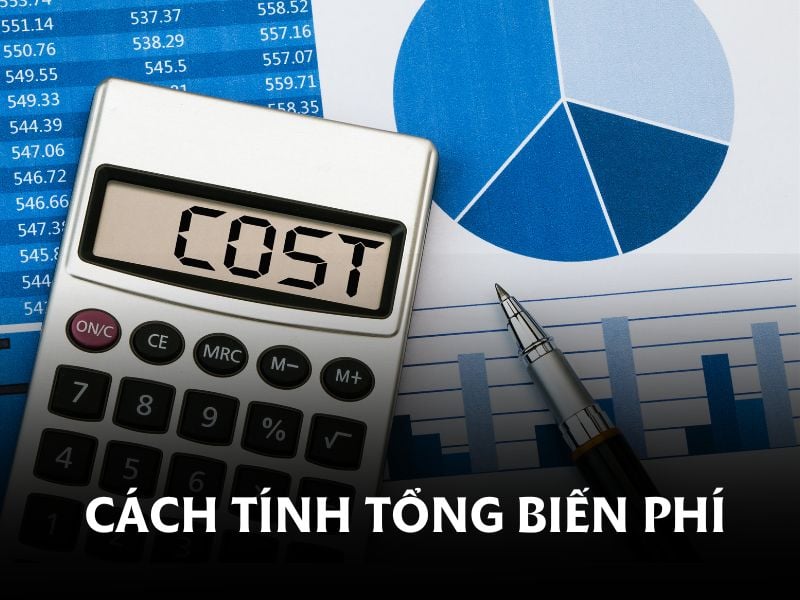 tong-bien-phi-la-gi4