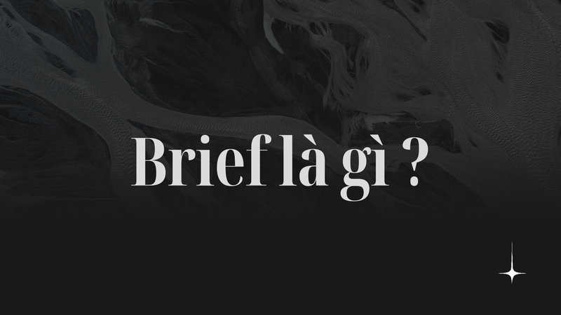 brief-la-gi1