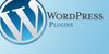 Plugin cho Wordpress là gì?