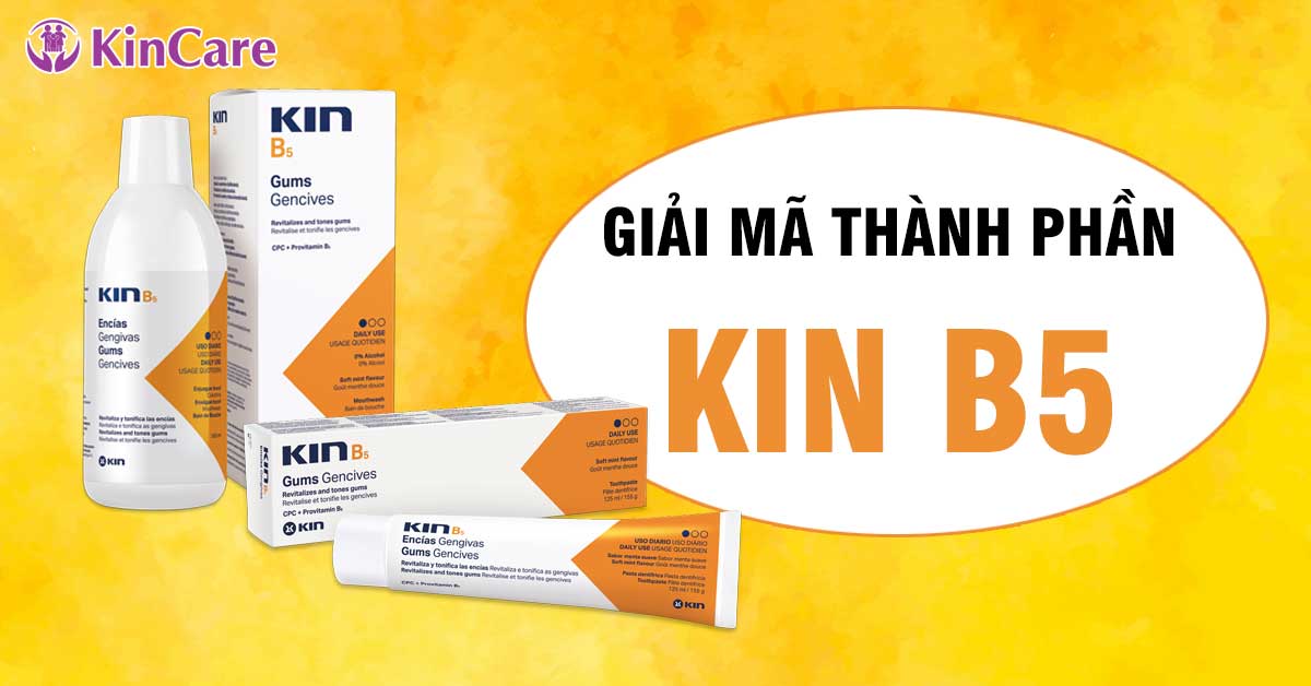 Giải mã các thành phần chính của Kin B5