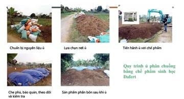 GIẢI PHÁP SỬ DỤNG DAFERT SẢN XUẤT PHÂN HỮU CƠ TỪ PHÂN CHUỒNG