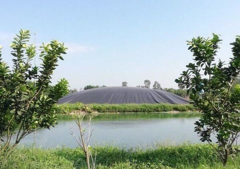 XỬ LÝ NƯỚC THẢI CHĂN NUÔI SAU BIOGAS ĐỂ ĐẠT TIÊU CHUẨN LOẠI B
