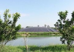 XỬ LÝ NƯỚC THẢI CHĂN NUÔI SAU BIOGAS ĐỂ ĐẠT TIÊU CHUẨN LOẠI B