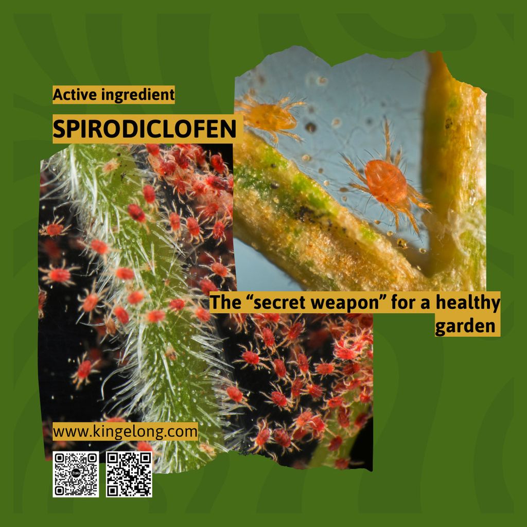 Spirodiclofen - The secret weapon for a healthy garden