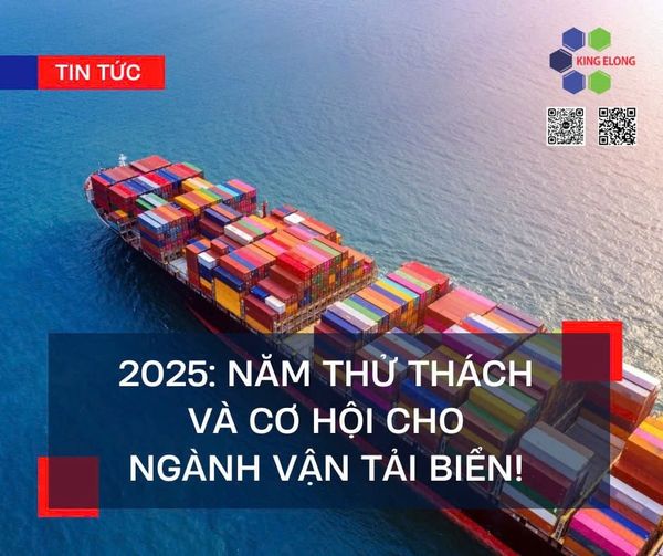 2025: Năm thử thách và cơ hội cho ngành vận tải biển!