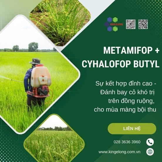 Metamifop + Cyhalofop Butyl - Đánh Bay Cỏ Khó Trị Trên Đồng Ruộng, Cho Mùa Màng Bội Thu