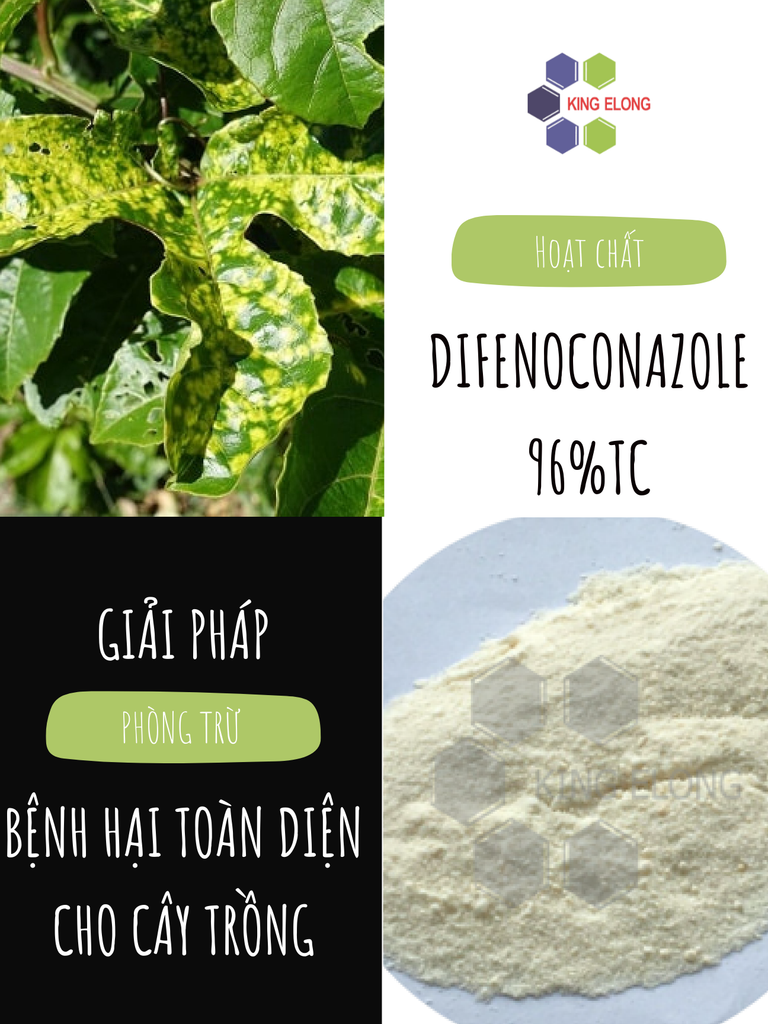 Difenoconazole 96% TC - Giải pháp phòng trừ bệnh hại toàn diện cho cây trồng