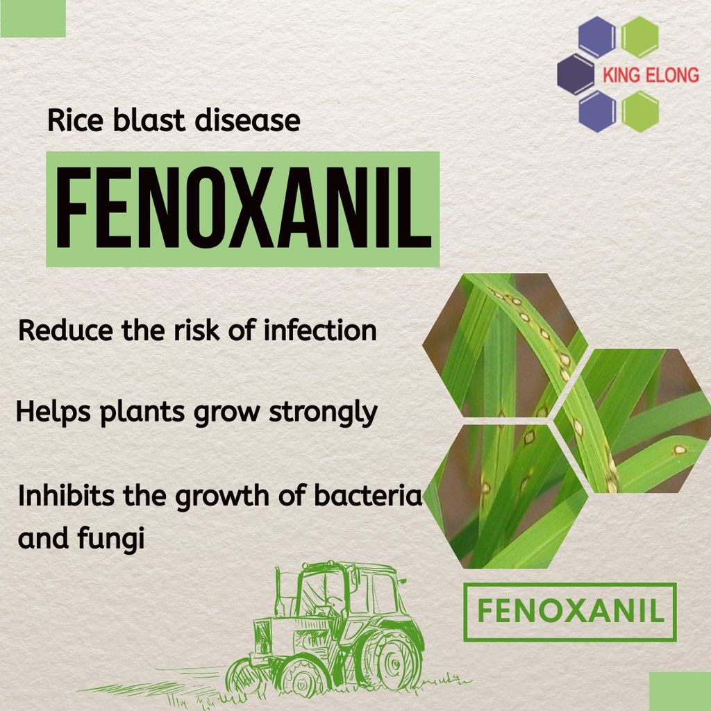 Fenoxanil - Rice blast disease