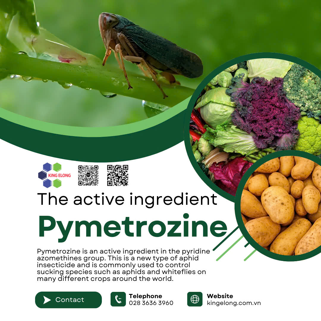 Pyrozine Insectiside The Active Ingredient Pymetrozine – Kingelong Việt Nam