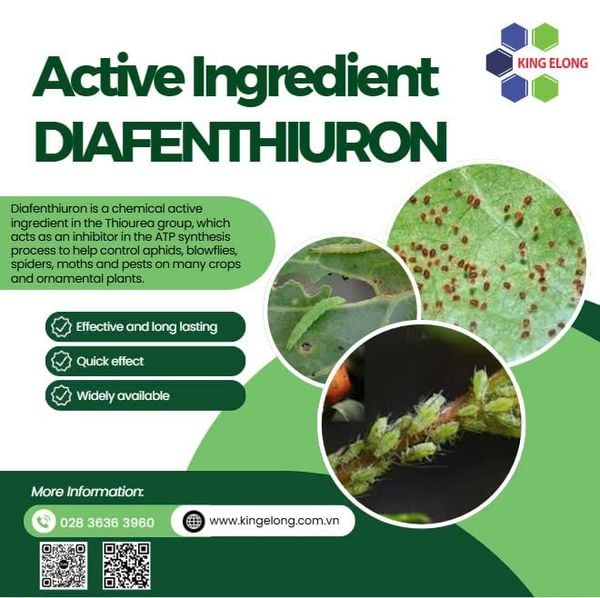 Active Ingredient: Diafenthiuron