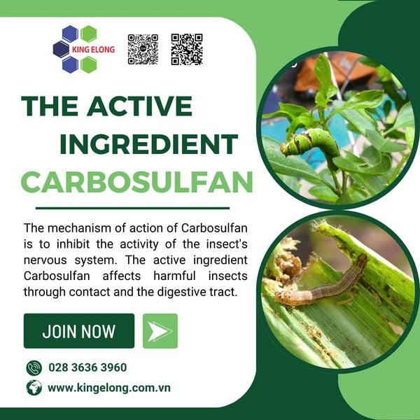 The Active Ingredient Carbosulfan