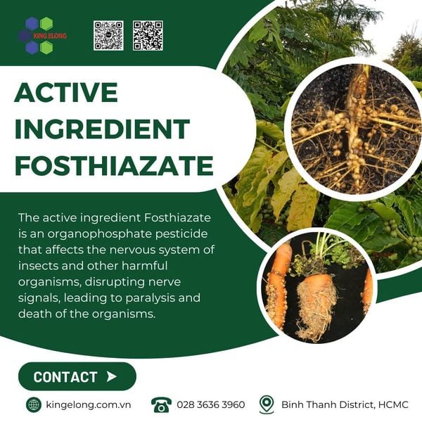 The Active Ingredient Fosthiazate