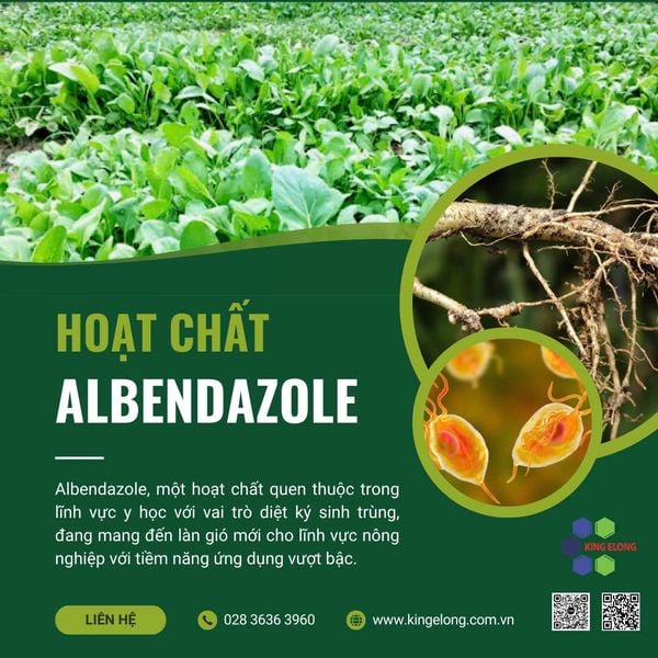 Albendazole: Giải Pháp Tối Ưu Cho Nông Nghiệp Bền Vững