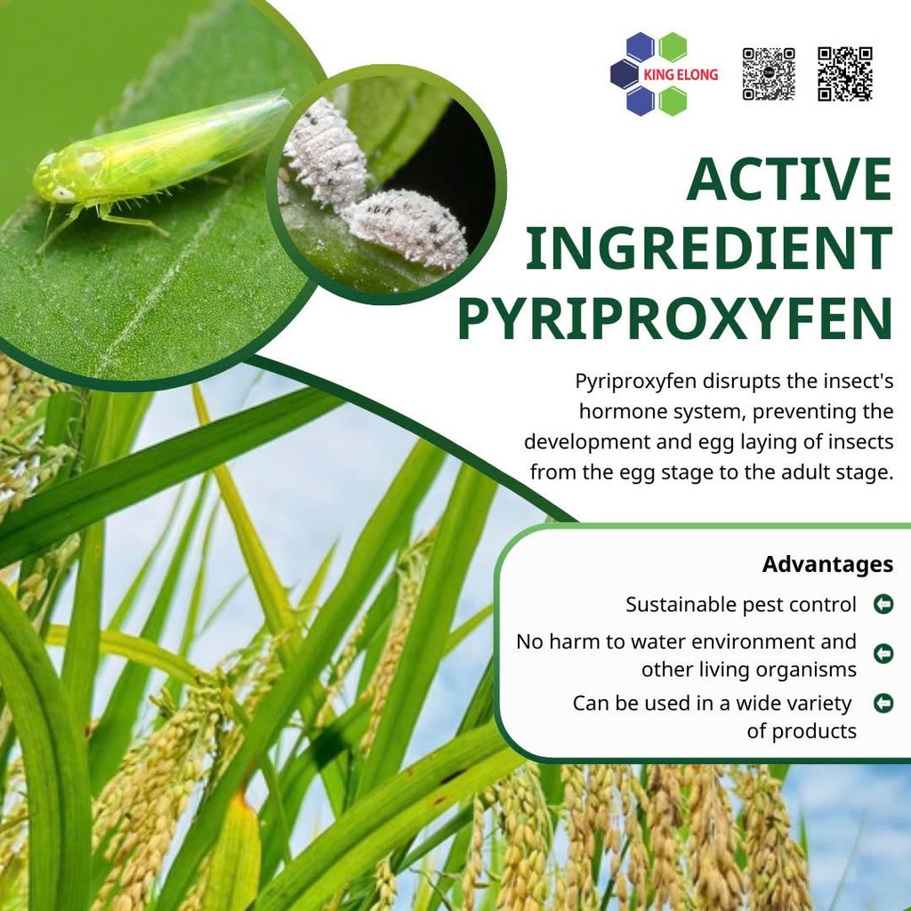 Pyriproxyfen: Insect Growth Hormone Inhibitor
