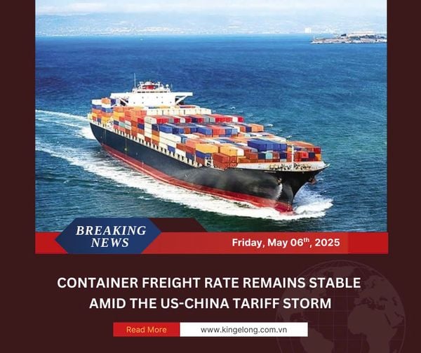 Container Freight Stable Amid The Us-China Tariff Storm