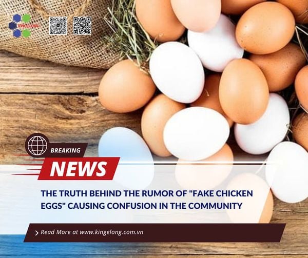 The Truth Behind The Rumor Of 